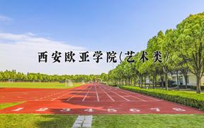 2024西安欧亚学院(艺术类)录取分数线，陕西最低381分