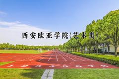 2024西安欧亚学院(艺术类)录取分数线，陕西最低381分