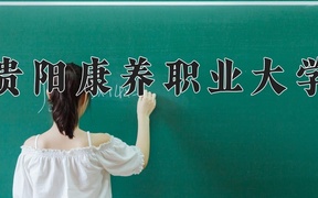 2024贵阳康养职业大学录取分数线，四川最低501分