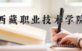 2024西藏职业技术学院录取分数线，陕西最低153分