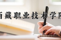 2024西藏职业技术学院录取分数线，陕西最低153分