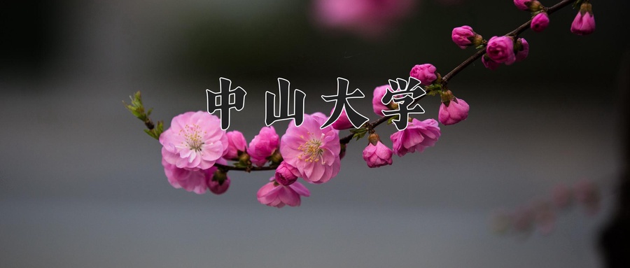 四川612分能上什么好大学？附2025年可以报考的大学名单-第1张图片-索考网