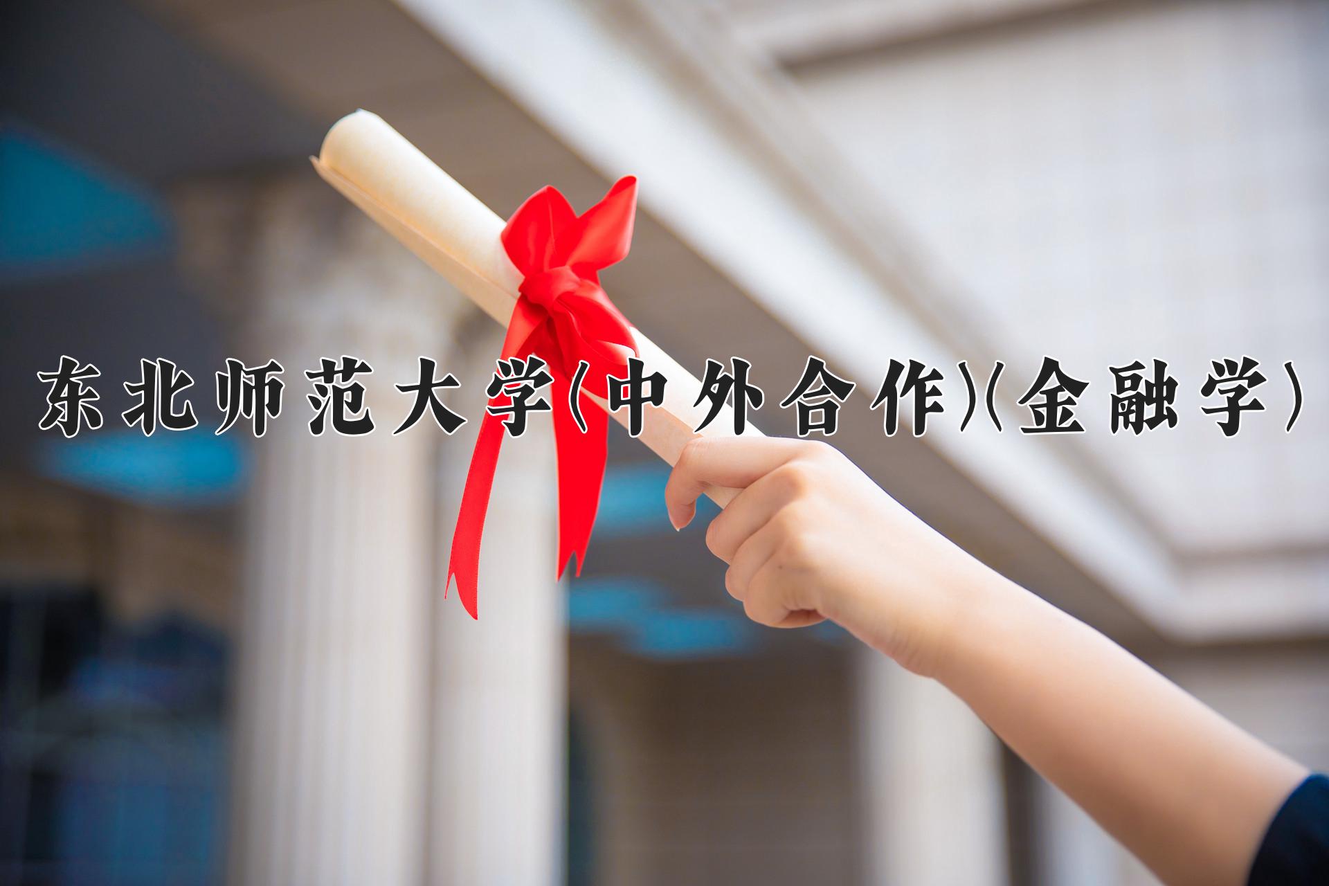 东北师范大学(中外合作)(金融学)