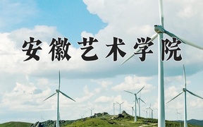 2024安徽艺术学院录取分数线，陕西最低435分