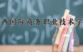2024广西国际商务职业技术学院录取分数线，陕西最低201分