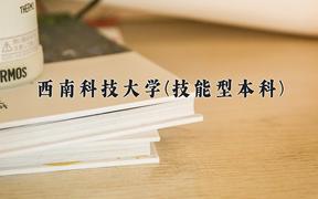 2024西南科技大学(技能型本科)录取分数线，四川最低520分