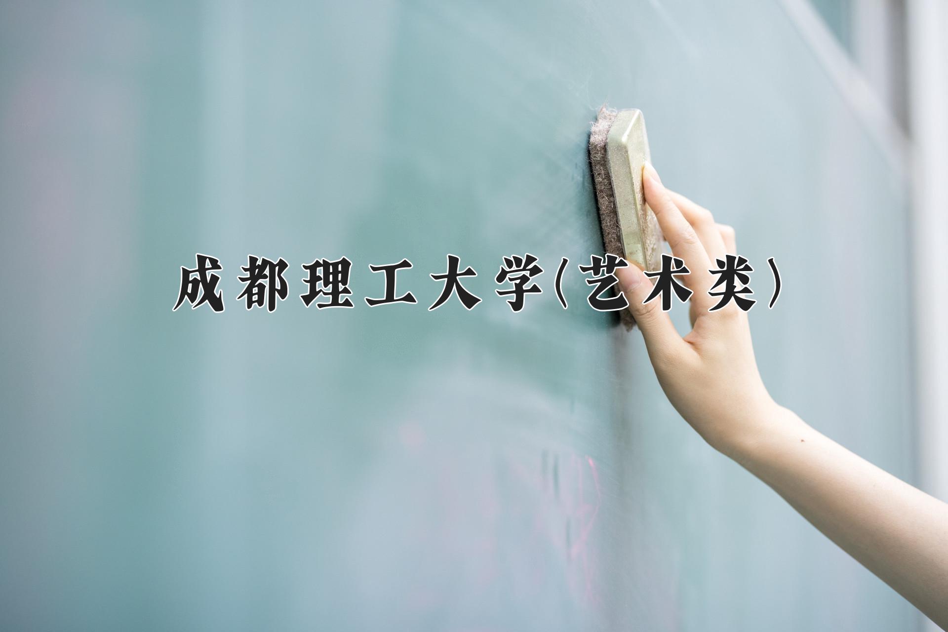 成都理工大学(艺术类)