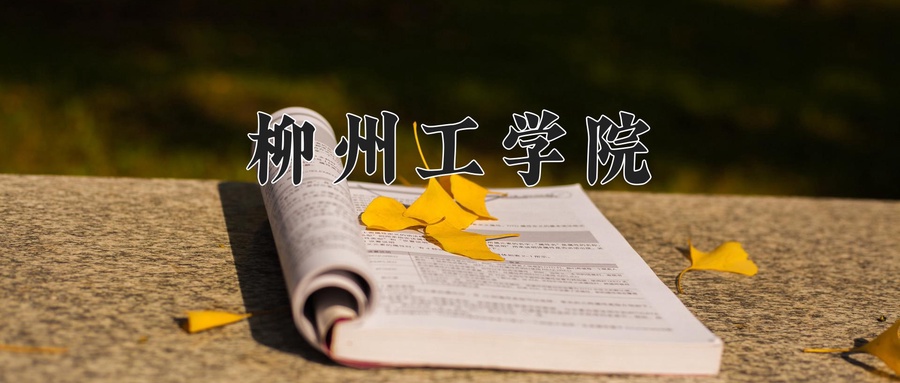 柳州工学院
