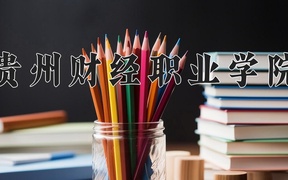 2024贵州财经职业学院录取分数线，四川最低410分