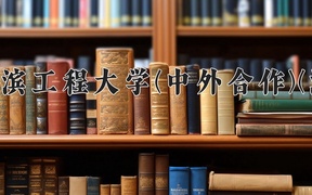 2024哈尔滨工程大学(中外合作)(海洋)录取分数线，四川最低618分