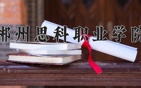 2024郴州思科职业学院录取分数线，四川最低150分