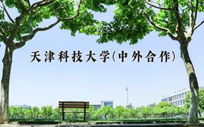 2024天津科技大学(中外合作)录取分数线，四川最低543分