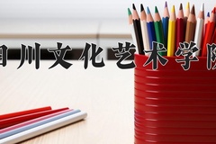 2024四川文化艺术学院录取分数线，陕西最低317分