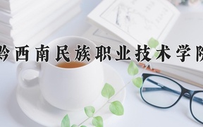 2024黔西南民族职业技术学院录取分数线，四川最低413分