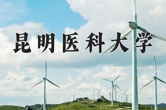 2024昆明医科大学录取分数线，陕西最低472分