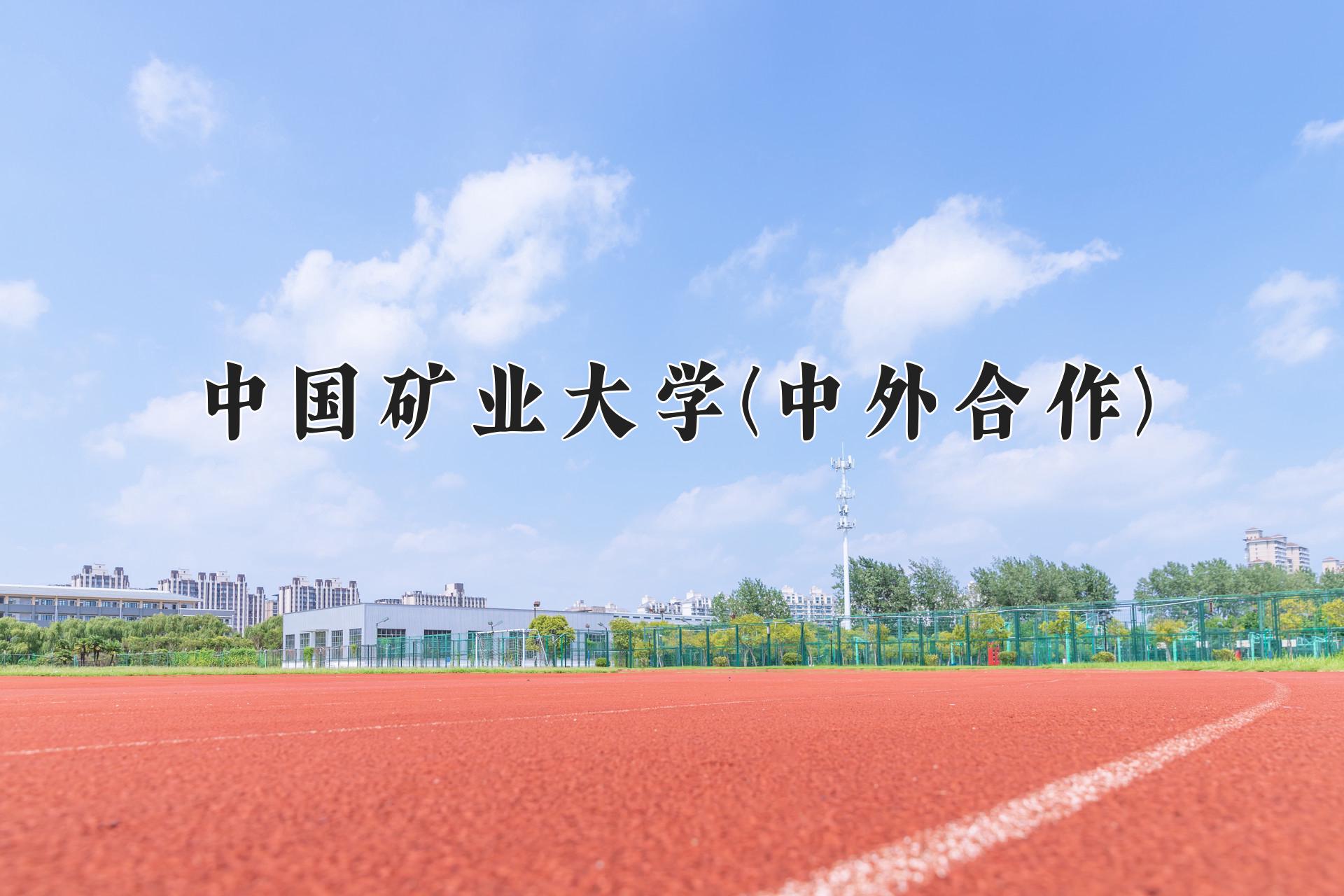 中国矿业大学(中外合作)