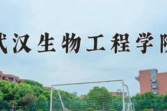 2024武汉生物工程学院录取分数线，陕西最低379分