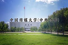 2024中国传媒大学(中外合作)录取分数线，四川最低539分