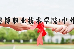 2024上海思博职业技术学院(中外合作)录取分数线，四川最低150分