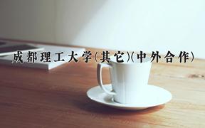 2024成都理工大学(其它)(中外合作)录取分数线，四川最低523分