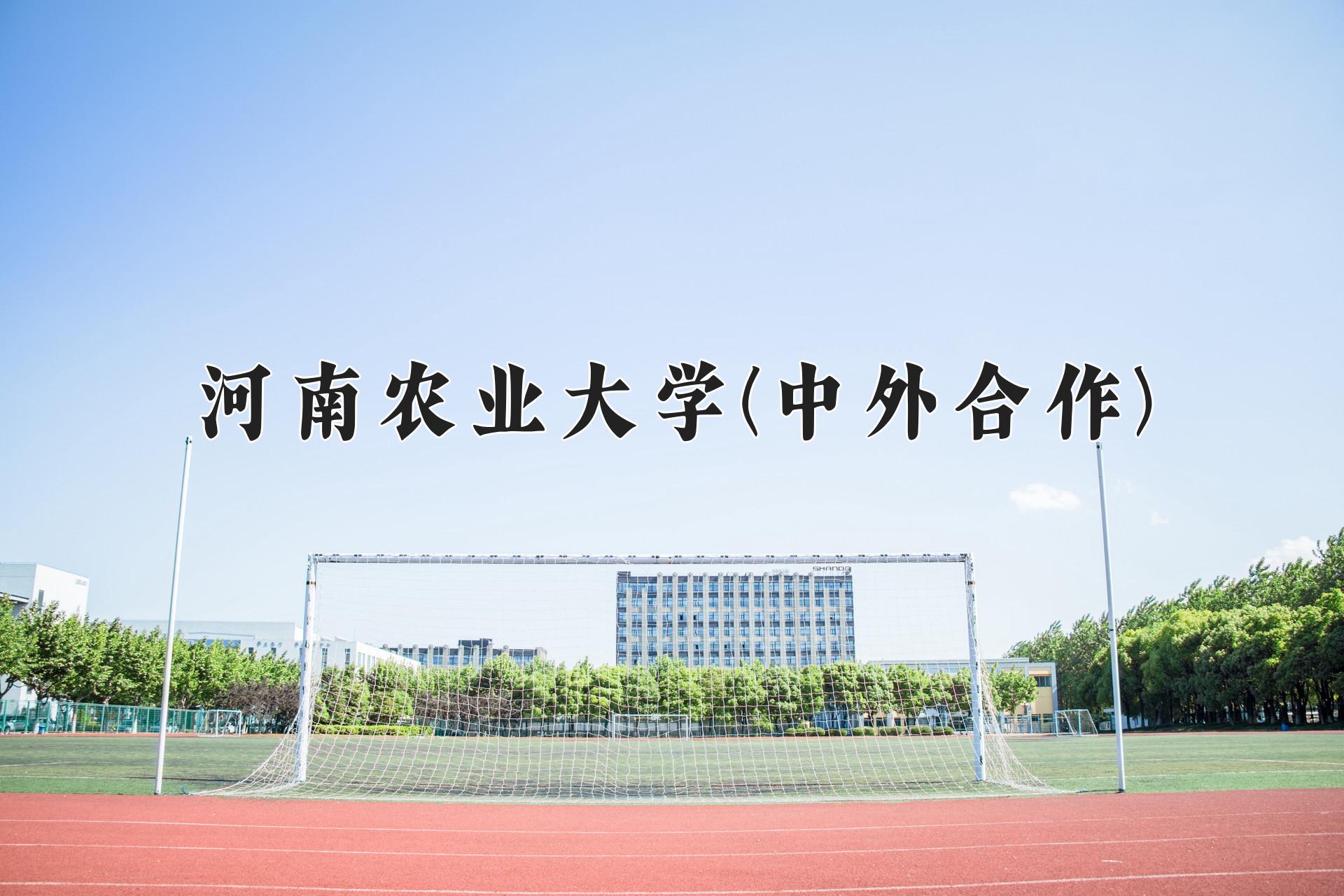 河南农业大学(中外合作)