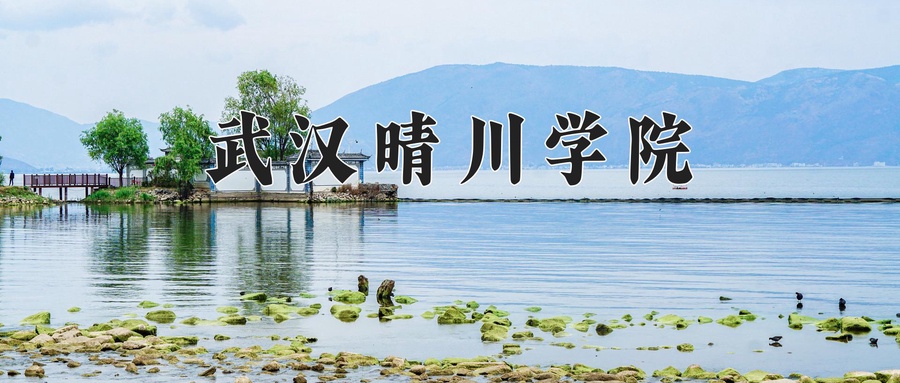武汉晴川学院