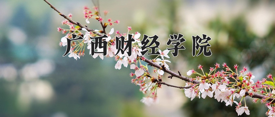 广西财经学院