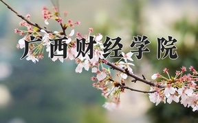 2024广西财经学院录取分数线，陕西最低447分