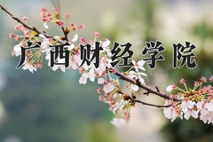 2024广西财经学院录取分数线，陕西最低447分
