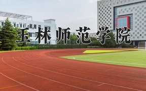 2024玉林师范学院录取分数线，陕西最低459分