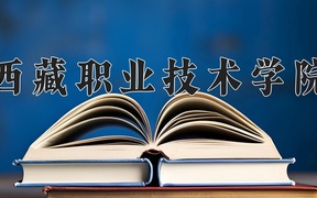 2024西藏职业技术学院录取分数线，四川最低364分