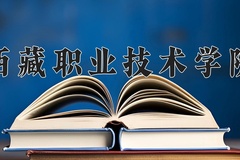 2024西藏职业技术学院录取分数线，四川最低364分