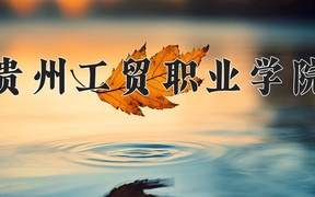 2024贵州工贸职业学院录取分数线，四川最低150分
