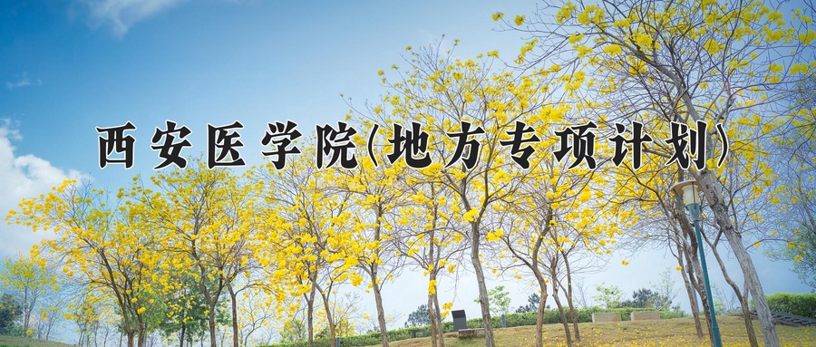 西安医学院(地方专项计划)