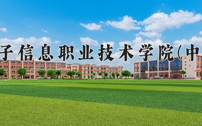 2024上海电子信息职业技术学院(中外合作)录取分数线，陕西最低357分