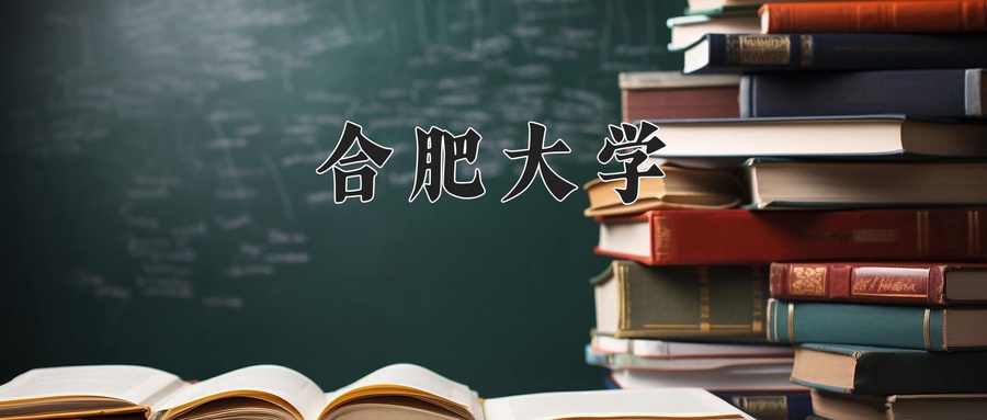 合肥大学