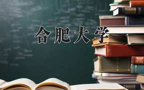 2024合肥大学录取分数线，陕西最低458分