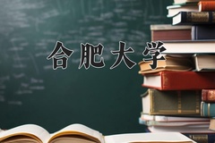 2024合肥大学录取分数线，陕西最低458分