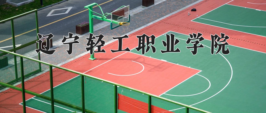 辽宁轻工职业学院