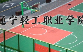 2024辽宁轻工职业学院录取分数线，陕西最低320分