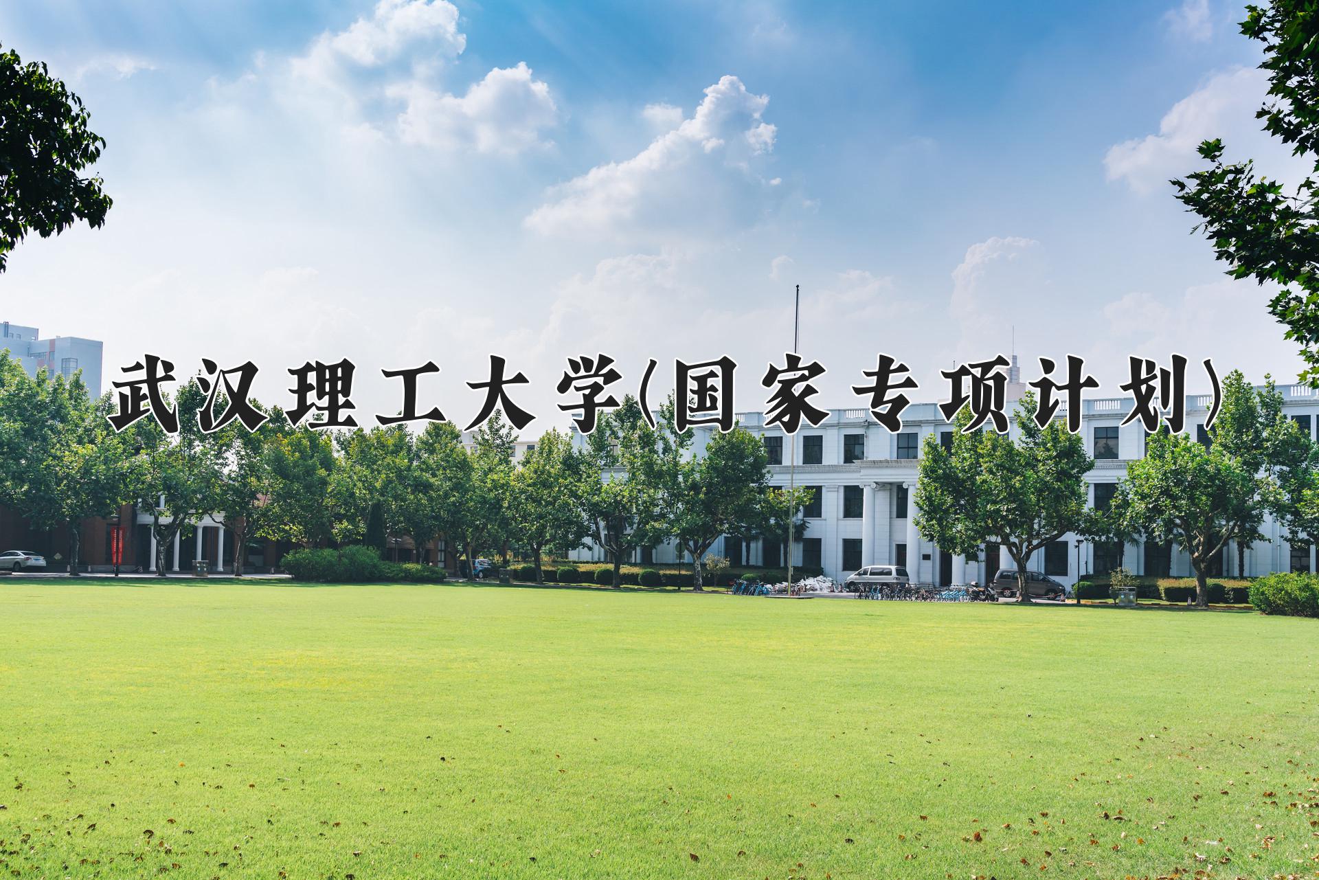 武汉理工大学(国家专项计划)