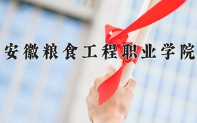 2024安徽粮食工程职业学院录取分数线，四川最低361分