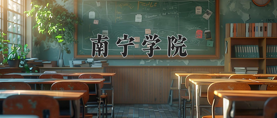南宁学院