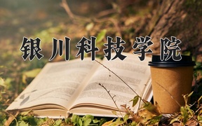 2024银川科技学院录取分数线，陕西最低282分