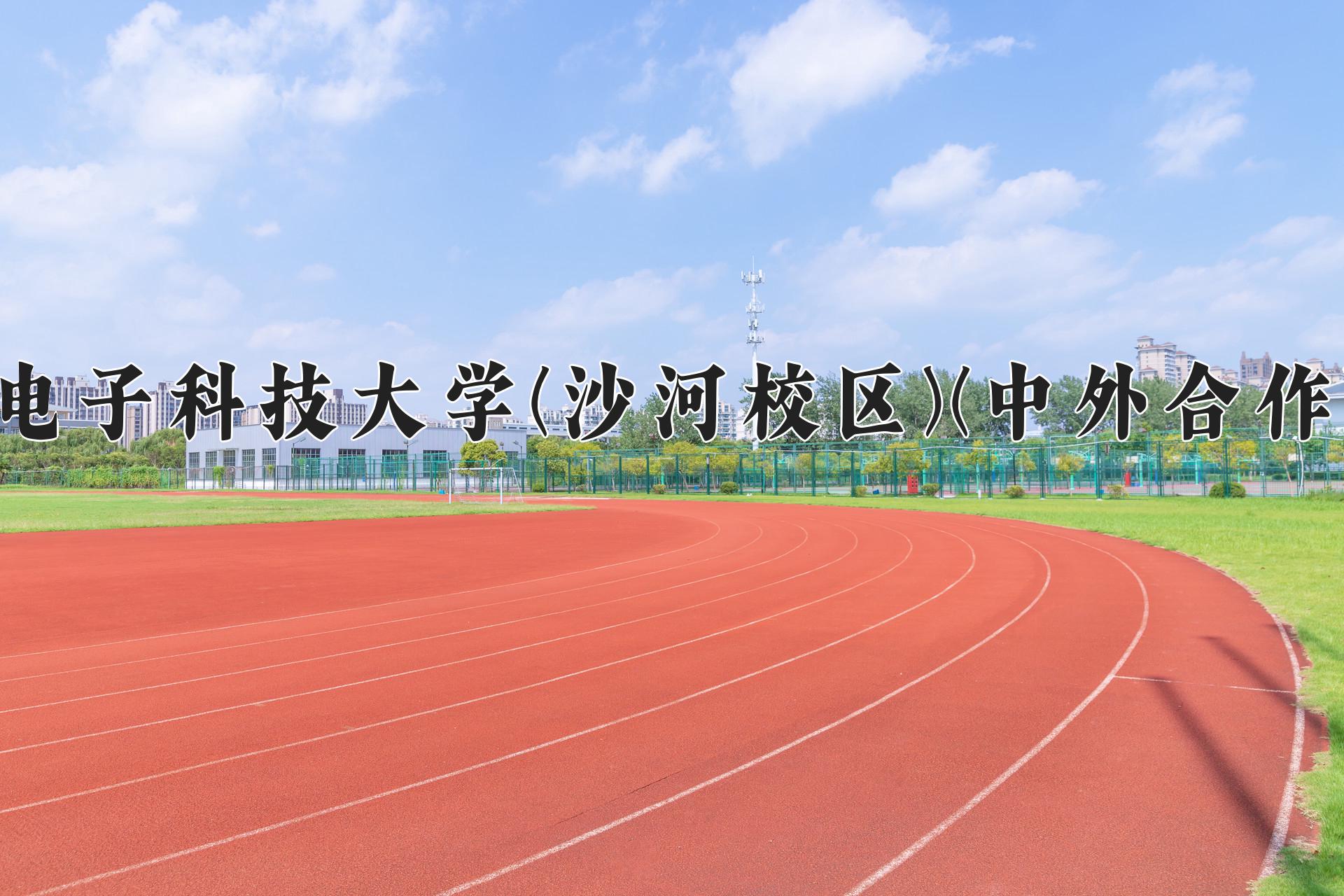 电子科技大学(沙河校区)(中外合作)