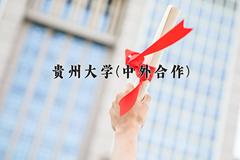 2024贵州大学(中外合作)录取分数线，陕西最低486分