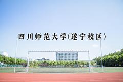 2024四川师范大学(遂宁校区)录取分数线，四川最低530分