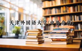 2024天津外国语大学(中外合作)录取分数线，陕西最低477分