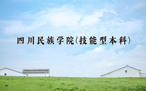 2024四川民族学院(技能型本科)录取分数线，四川最低500分