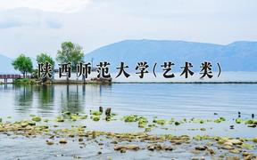 2024陕西师范大学(艺术类)录取分数线，陕西最低515分